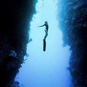 性插图成人视频免费观看
